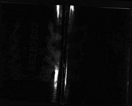 浙江斯氏族谱-白石斯氏斯村宗谱 [8卷,首1卷].pdf电子版预览图1
