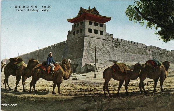 日绘民国明信片《最近の北京》预览图8