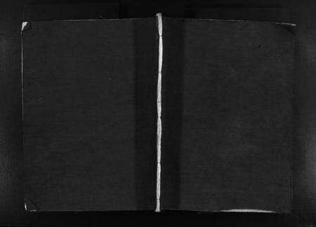 浙江卢氏族谱-卢氏宗谱 [不分卷].pdf电子版预览图1