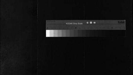 浙江童氏族谱-童氏宗谱 [2卷].pdf电子版缩略图