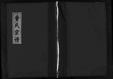 浙江童氏族谱-童氏宗谱 [2卷].pdf电子版预览图1