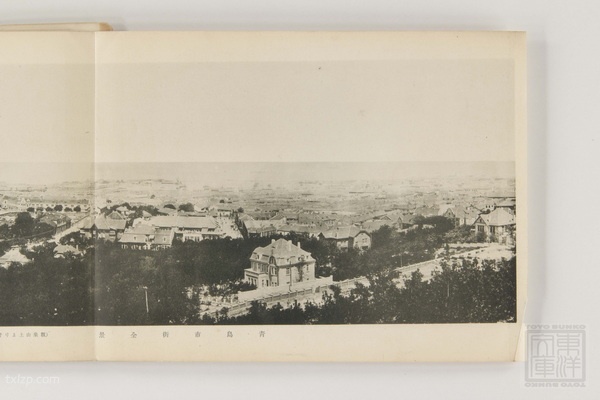 1928年《山东省动乱纪念写真帖》 全套影集预览图2