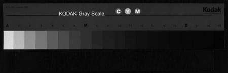 湖北黄氏族谱-黄氏宗谱 [9卷,首1卷](别名：Huang Shi Zong Pu).pdf电子版缩略图