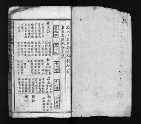 湖北骆氏族谱-骆氏八修宗谱 [卷数不详](别名：Luo Shi Ba Xiu Zong Pu、骆氏八修宗谱、骆氏宗谱).pdf电子版预览图2