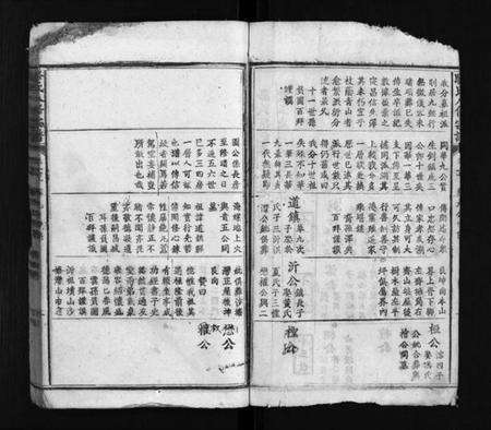 湖北骆氏族谱-骆氏八修宗谱 [卷数不详](别名：Luo Shi Ba Xiu Zong Pu、骆氏八修宗谱、骆氏宗谱).pdf电子版预览图3