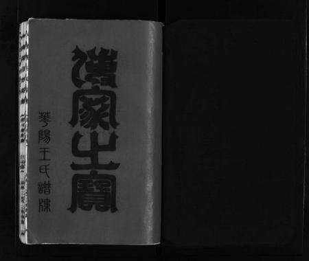 浙江王氏族谱-华阳王氏宗谱 [残卷].pdf电子版预览图2