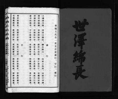 浙江王氏族谱-华阳王氏宗谱 [残卷].pdf电子版预览图3