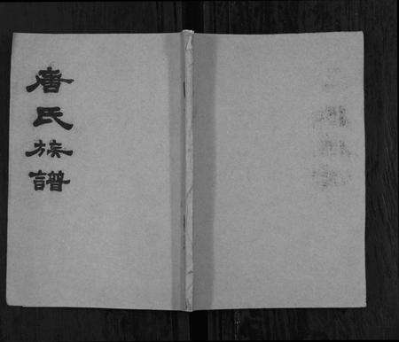 湖南唐氏族谱-唐氏族谱[不分卷].pdf电子版缩略图