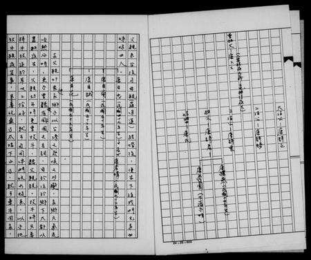 湖南唐氏族谱-唐姓家谱.pdf电子版预览图4