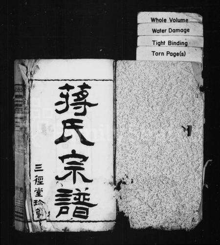 江苏蒋氏族谱-新安蒋氏宗谱 [26卷](别名：蒋氏宗谱).pdf电子版预览图1