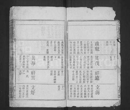 湖北蒋氏族谱-天门蒋氏宗谱 [残卷](别名：Tian Men Jiang Shi Zong Pu).pdf电子版预览图3