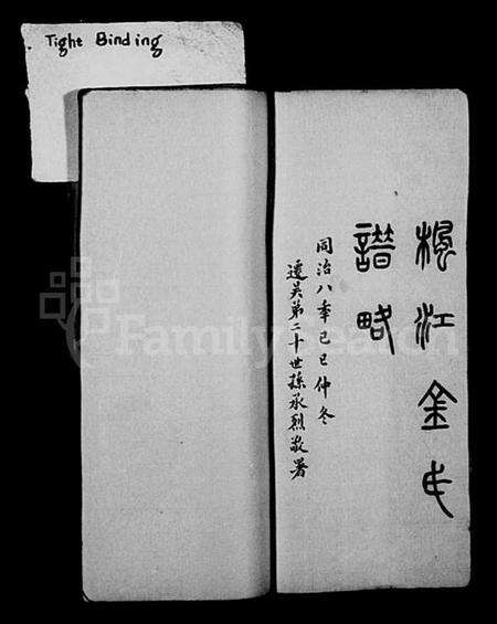 江苏金氏族谱-枫江金氏谱略 [卷数杂异](休宁金氏宗谱).pdf电子版预览图1