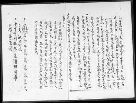 湖南王氏族谱-王家祖公录注.pdf电子版预览图3