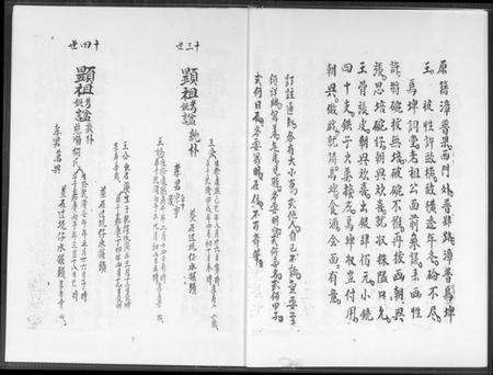 湖南王氏族谱-王家祖公录注.pdf电子版预览图4