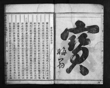 浙江岳氏族谱-兰江岳氏宗谱 [残卷].pdf电子版预览图3