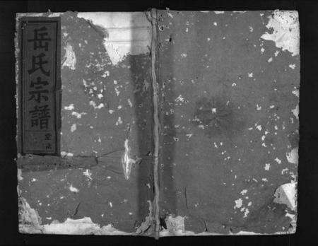 浙江岳氏族谱-兰江岳氏宗谱 [残卷].pdf电子版预览图1