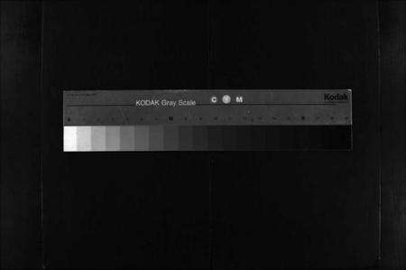 湖北金氏族谱-金氏宗谱 [49卷,首3卷](别名：Jin Shi Zong Pu).pdf电子版缩略图