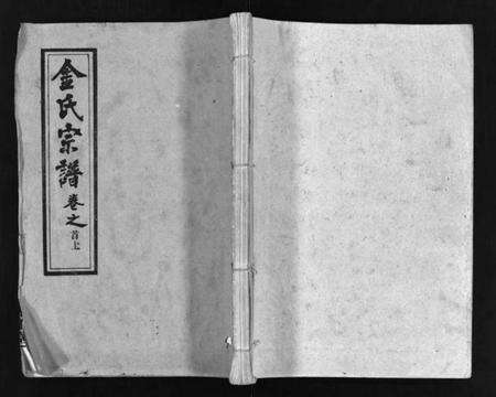 湖北金氏族谱-金氏宗谱 [49卷,首3卷](别名：Jin Shi Zong Pu).pdf电子版预览图1