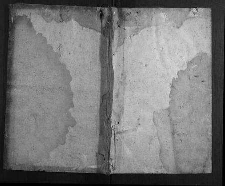 湖南王氏族谱-王氏冬至谱.pdf电子版缩略图