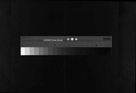 湖北金氏族谱-麻城金氏续修宗谱 [44卷,首11卷](别名：麻城浮桥金氏宗谱、Ma Cheng Jin Shi Xu Xiu Zong Pu、金氏宗谱).pdf电子版缩略图