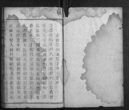 湖南王氏族谱-王氏冬至谱.pdf电子版预览图1