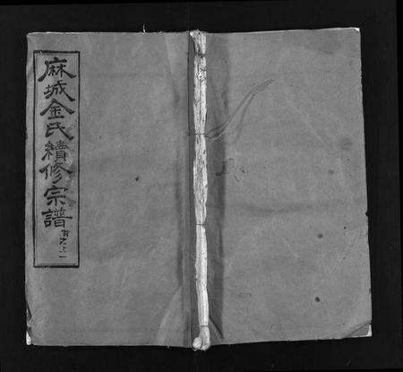 湖北金氏族谱-麻城金氏续修宗谱 [44卷,首11卷](别名：麻城浮桥金氏宗谱、Ma Cheng Jin Shi Xu Xiu Zong Pu、金氏宗谱).pdf电子版预览图1