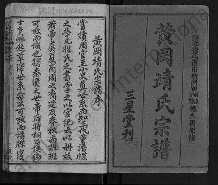 湖北靖氏族谱-黄冈靖氏宗谱 [24卷,首1卷](别名：靖氏宗谱).pdf电子版预览图1