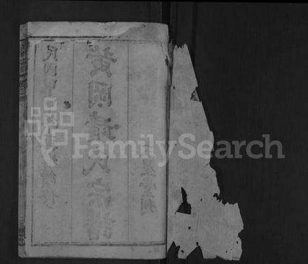 湖北靖氏族谱-黄冈靖氏宗谱 [24卷,首1卷](别名：靖氏宗谱、Jing Shi Zong Pu、黄冈靖氏宗谱、Huanggang Branch Jing Family Genealogy from Hubei Province China).pdf电子版预览图1