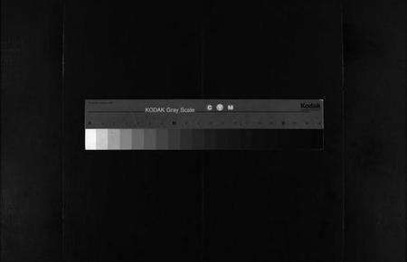 浙江袁氏族谱-袁氏宗谱 [不分卷].pdf电子版缩略图