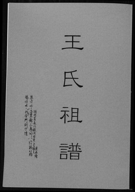 湖南王氏族谱-王氏祖谱.pdf电子版缩略图