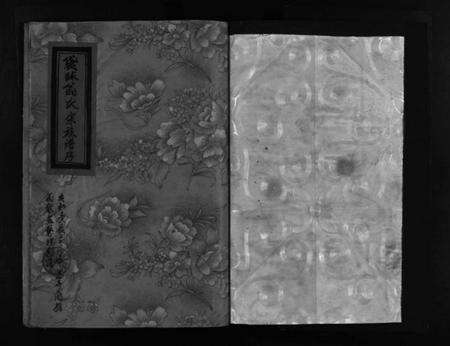 浙江翁氏族谱-袋球翁氏宗谱历代谱序 [不分卷].pdf电子版预览图2