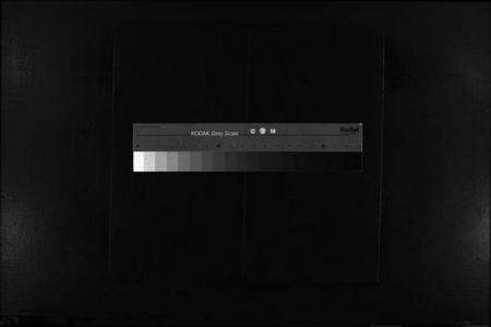 浙江林氏族谱-西河郡巉川林氏宗谱 [7卷,及卷首,艺文1卷].pdf电子版缩略图