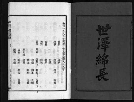 浙江林氏族谱-西河郡巉川林氏宗谱 [7卷,及卷首,艺文1卷].pdf电子版预览图3