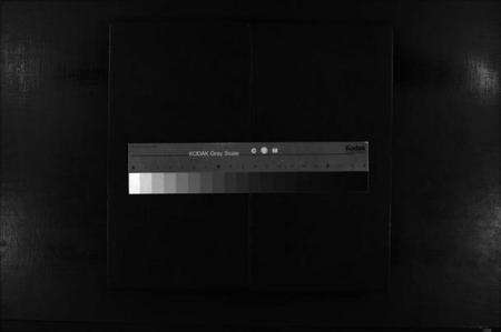 浙江林氏族谱-西河郡林氏房谱 [不分卷].pdf电子版缩略图