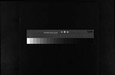 浙江陈氏族谱-西章陈氏宗谱 [残卷].pdf电子版缩略图