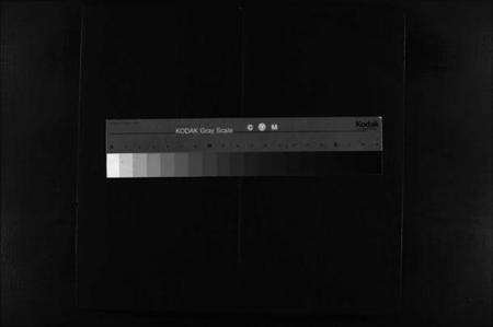 浙江谢氏族谱-谢氏宗谱 [不分卷].pdf电子版缩略图