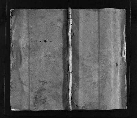 浙江谢氏族谱-谢氏宗谱 [不分卷].pdf电子版预览图1