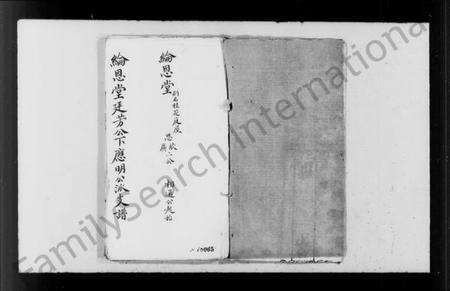 中国李氏族谱-李氏宗谱(别名：纶恩堂廷芳公下应明公派支谱).pdf电子版预览图3