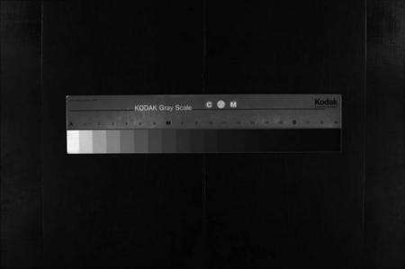 浙江杨氏族谱-金华龙山杨氏宗谱 [10卷].pdf电子版缩略图