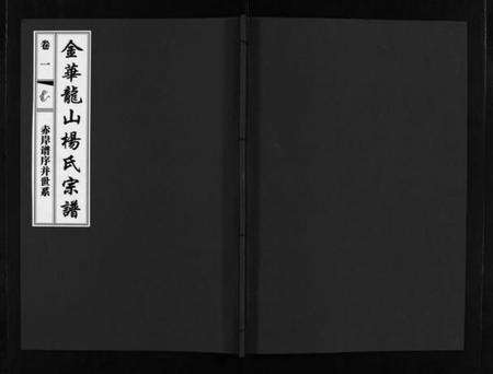 浙江杨氏族谱-金华龙山杨氏宗谱 [10卷].pdf电子版预览图1