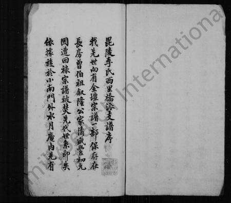 江苏李氏族谱-毘陵李氏西里桥派支谱(别名：李氏西里桥支谱).pdf电子版预览图1