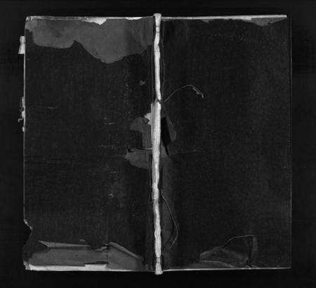 浙江陈氏族谱-陈氏宗谱 [不分卷].pdf电子版预览图1