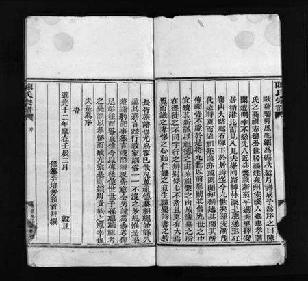 浙江陈氏族谱-陈氏宗谱 [不分卷].pdf电子版预览图5