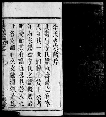 湖北李氏族谱-寿昌李氏宗谱 [11卷](别名：寿昌李氏宗谱、Shouchang Li Family Genealogy from Hubei Province China).pdf电子版预览图4