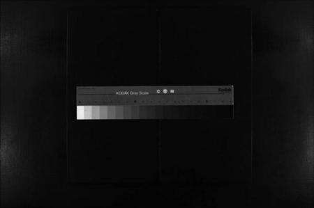 浙江陈氏族谱-陈氏族谱 [不分卷].pdf电子版缩略图