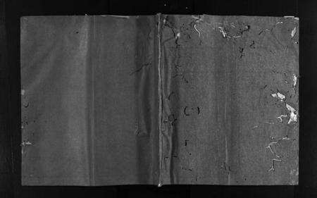 浙江陈氏族谱-陈氏石角寮派房谱 [不分卷].pdf电子版预览图1