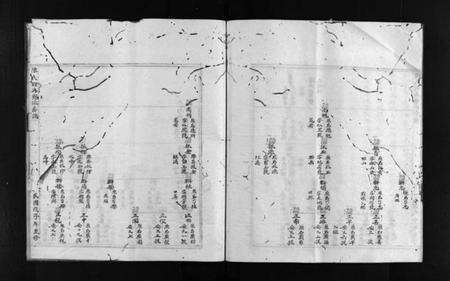 浙江陈氏族谱-陈氏石角寮派房谱 [不分卷].pdf电子版预览图4