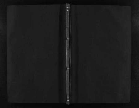 湖北李氏族谱-李氏宗谱(别名：Li Shi Zong Pu).pdf电子版预览图1