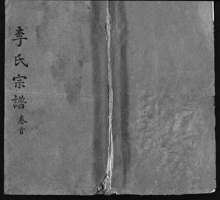 湖北李氏族谱-李氏宗谱 [10卷,含卷首](别名：Li Shi Zong Pu).pdf电子版预览图1