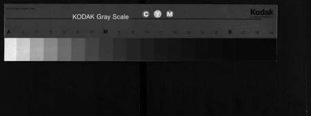 湖北李氏族谱-李氏宗谱 [8卷,首2卷](别名：黄冈上伍乡李氏宗谱、Li Shi Zong Pu).pdf电子版缩略图